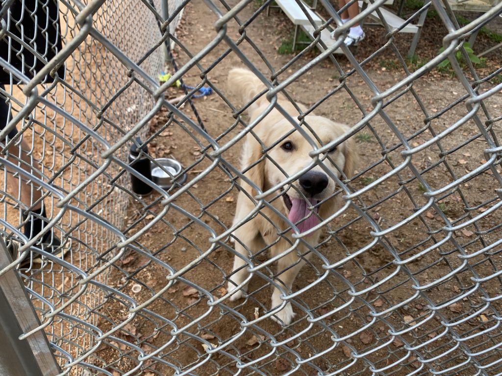 Mike's buddy standing behind a chain link fence.